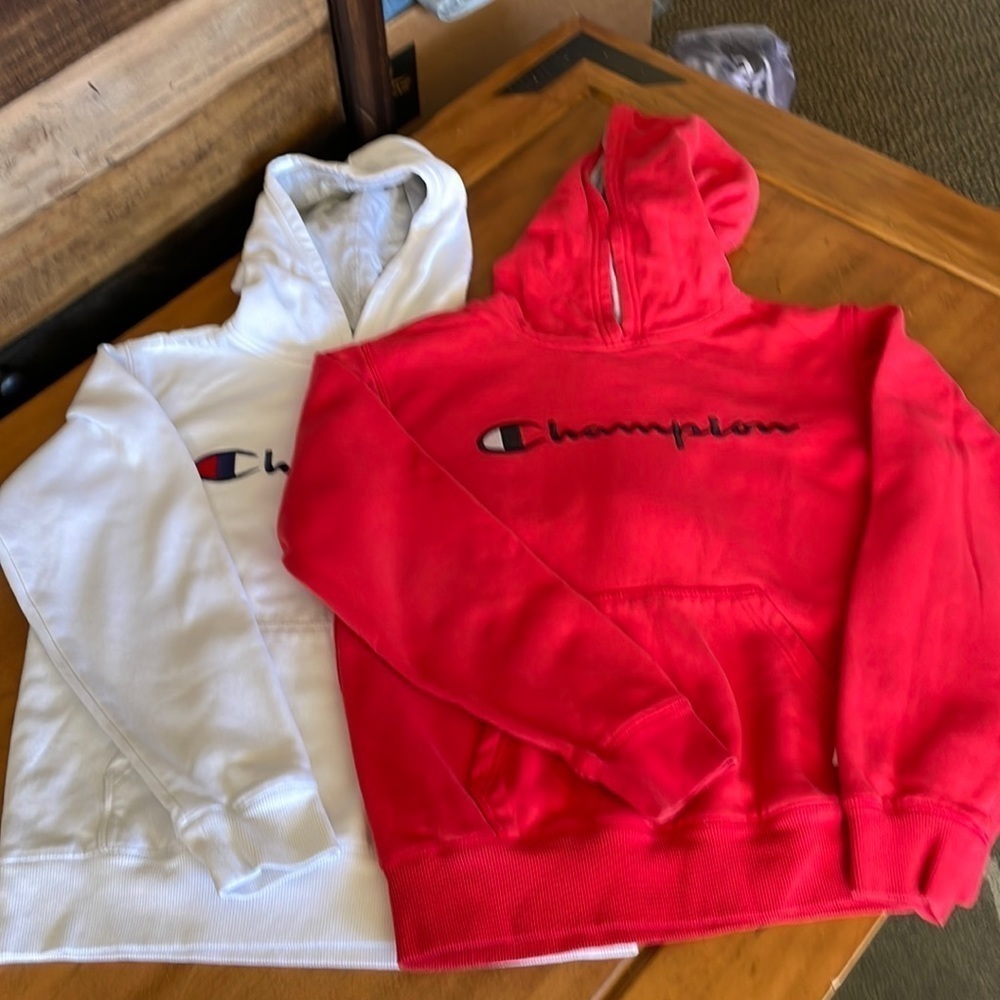 CHAMPION Hoodies Two Count Size Large
